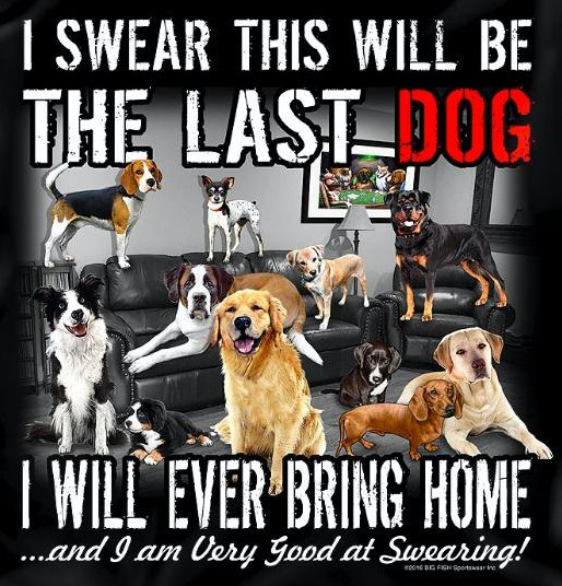 The Last Dog - T-Shirt